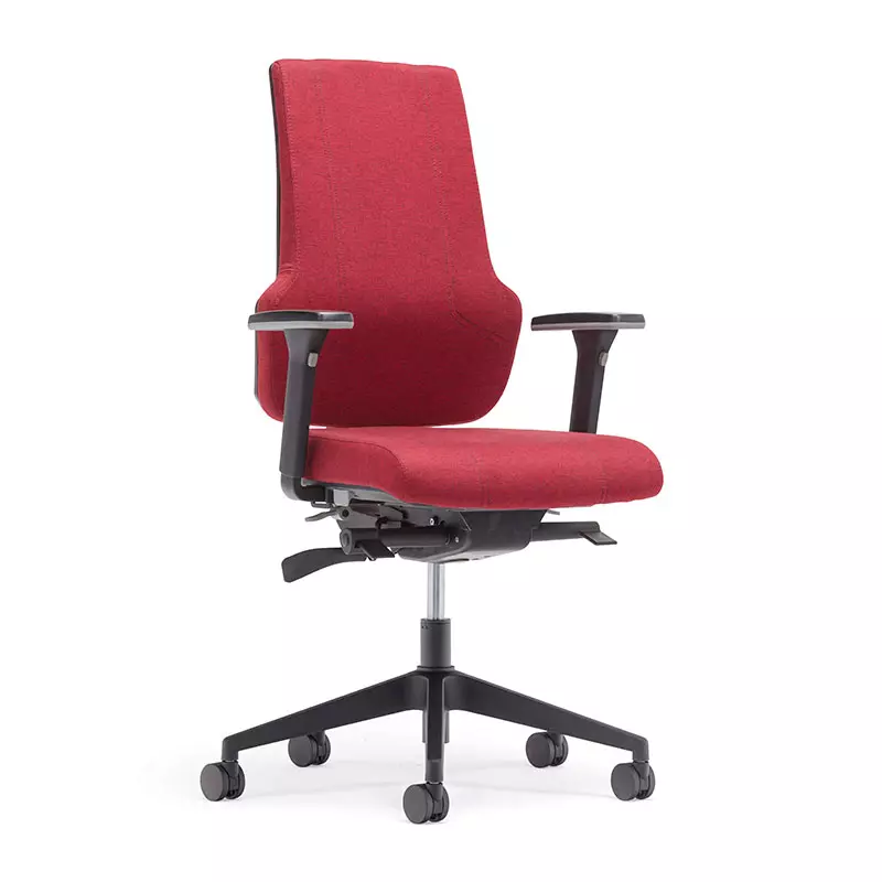 Melhor Home Office High Back Computer Task Chair com Back Support-T6 Era 