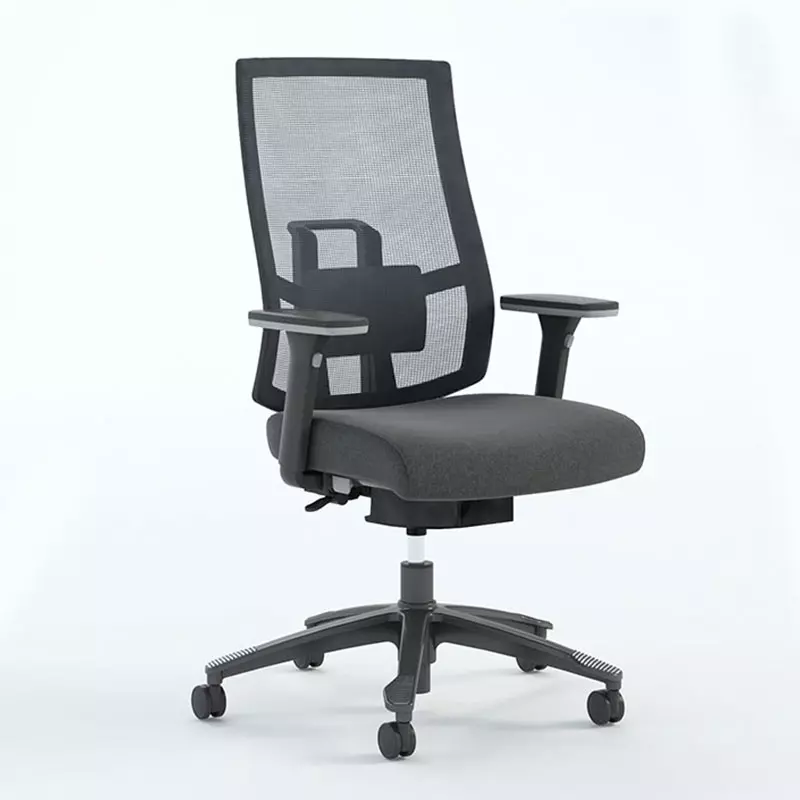 Big e Alto Alto Back Mesh Home Office Ergonomic Task Chair-T10 Miro 